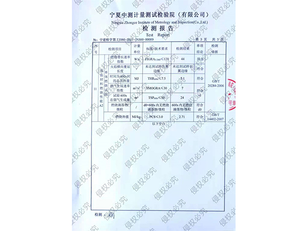 检测报告